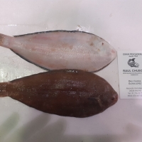 Lenguado miga huelva