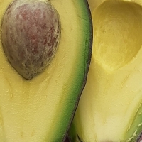 Kilo palta hass chilena exportación. *despacho* miercoles 2 de septiembre hasta las 20:00 hrs // el carrito de compras debe tener un mínimo total de $9.500 pesos en mercadería.