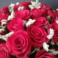 San Valentín Ramo de 18 rosas rojas. ( ver descripción)