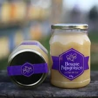 MIEL BOSQUES PATAGONICOS - Kl.